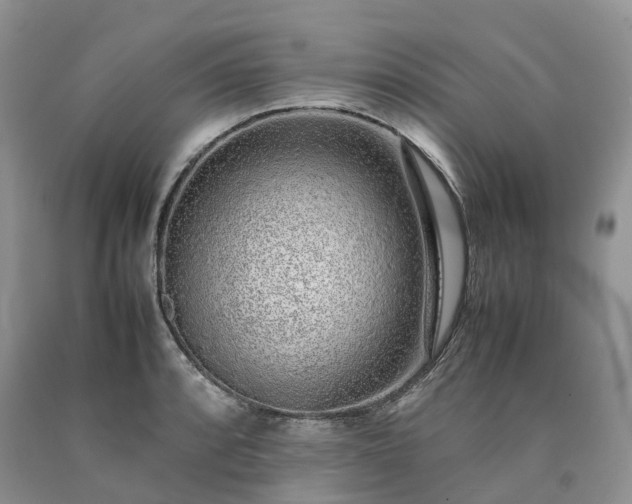 X0000090471088200707201349