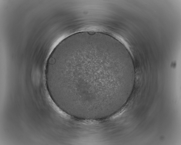 X0000090471091200707201349