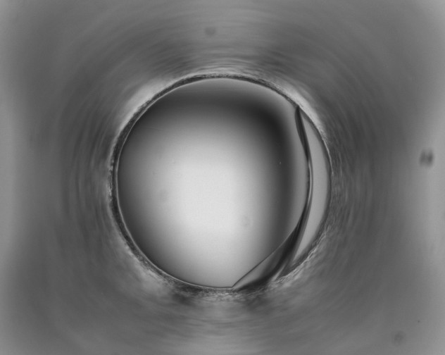X0000090471093200707201349