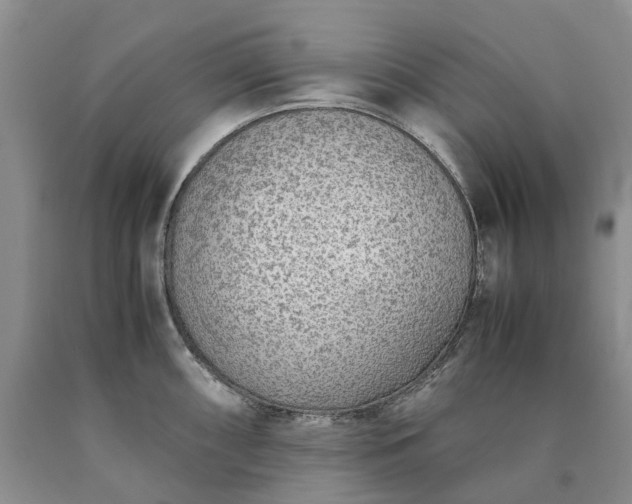 X0000090471098200707201349