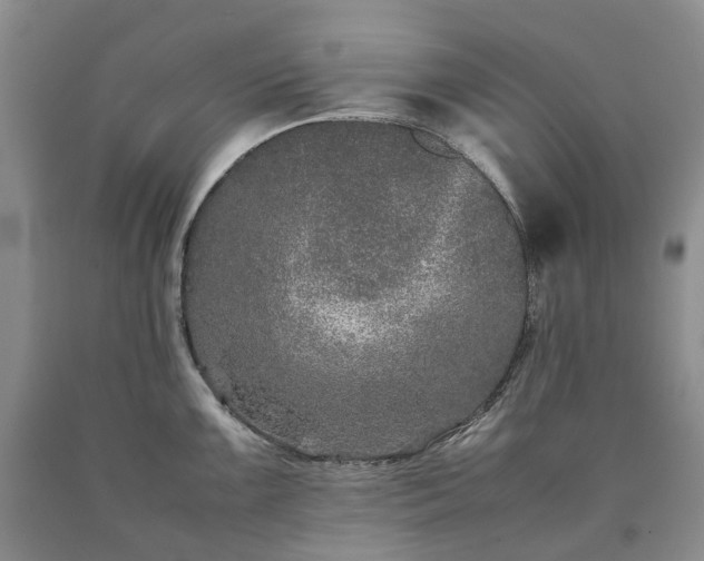 X0000090471099200707201349