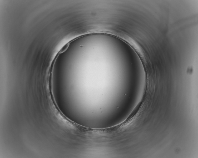 X0000090471102200707201349