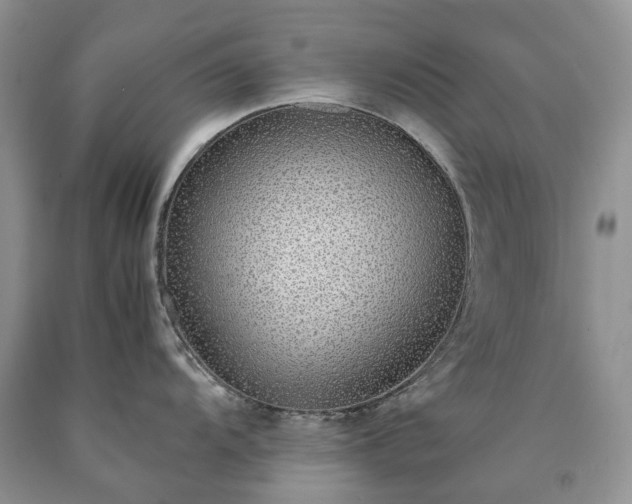 X0000090471104200707201349