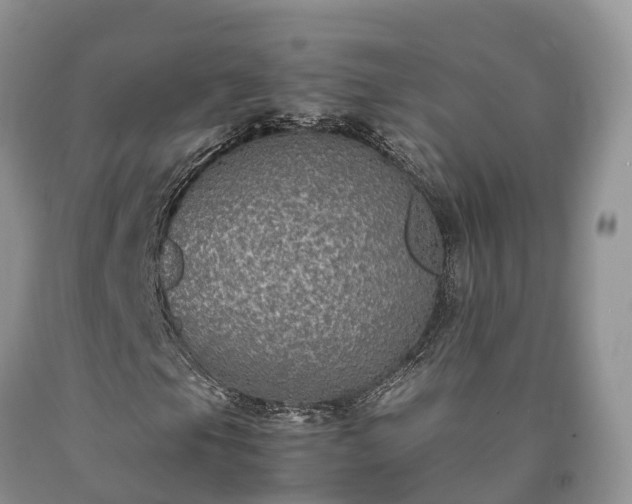 X0000090471105200707201349
