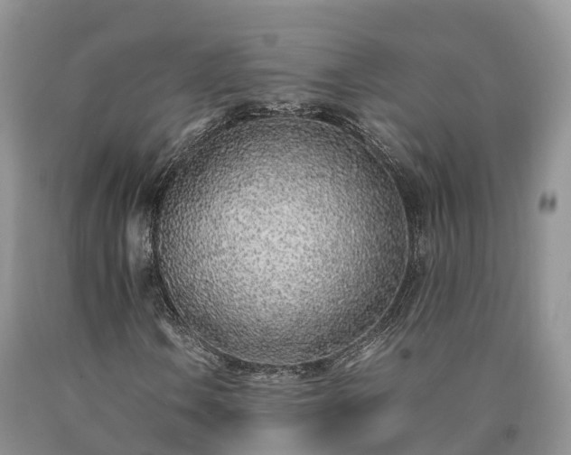 X0000090471106200707201349