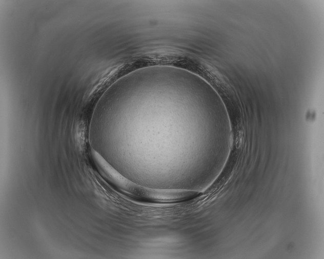 X0000090471108200707201349