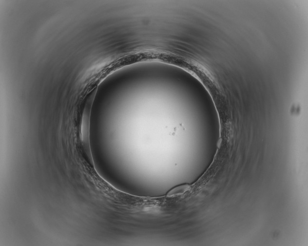 X0000090471111200707201349