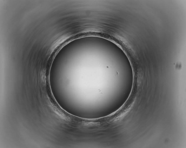 X0000090471113200707201349