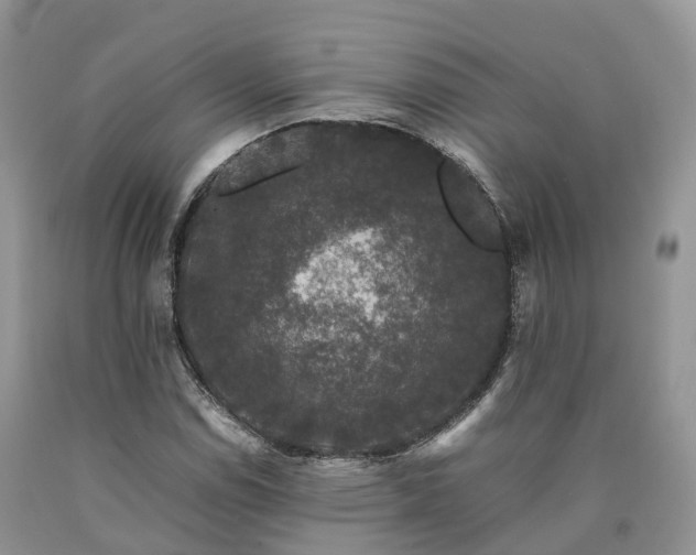X0000090471114200707201349