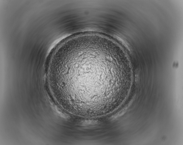 X0000090471117200707201349