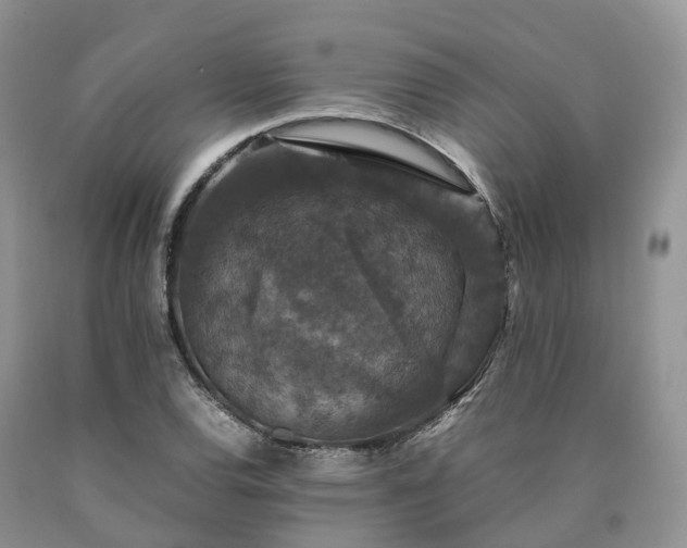 X0000090471120200707201349