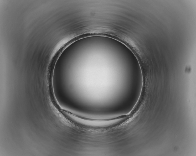 X0000090471122200707201349