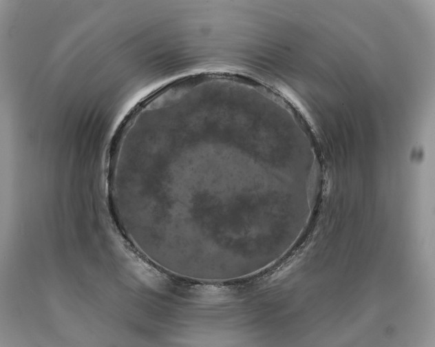 X0000090471124200707201349