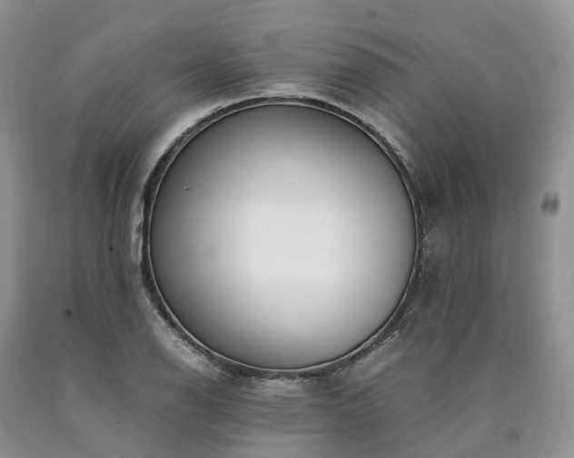 X0000090471126200707201349