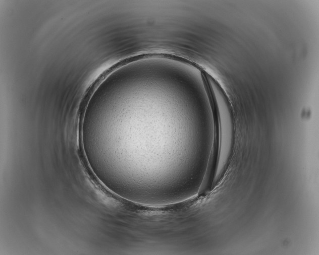 X0000090471127200707201349