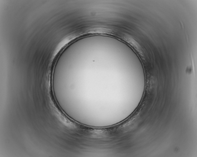 X0000090471130200707201349