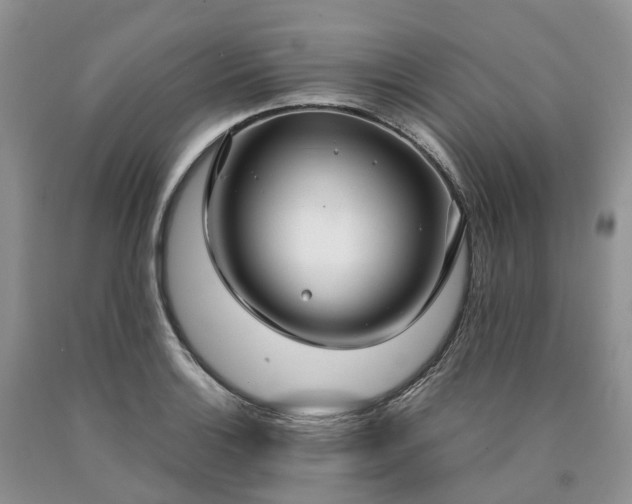 X0000090471132200707201349