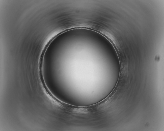 X0000090471135200707201349