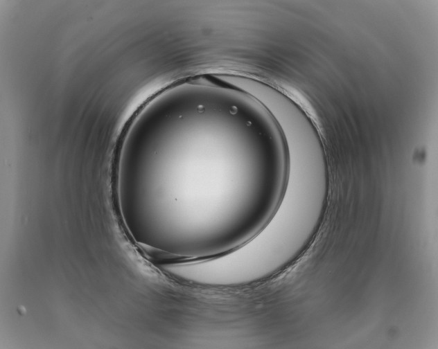 X0000090471138200707201349