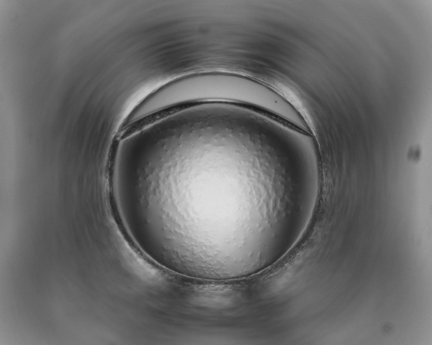X0000090471141200707201349