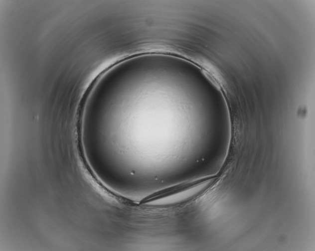 X0000090471142200707201349
