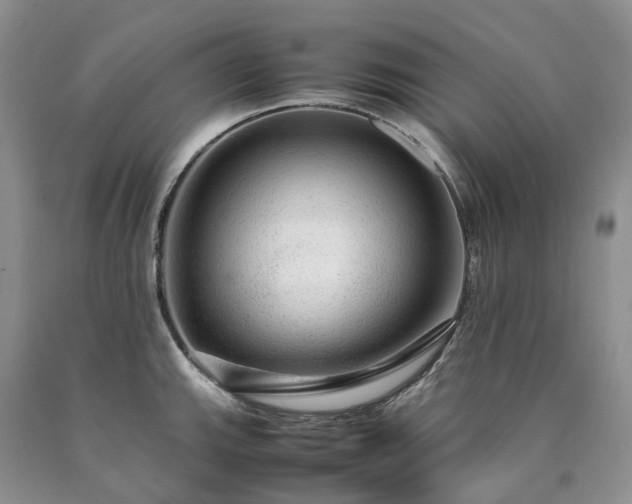 X0000090471143200707201349