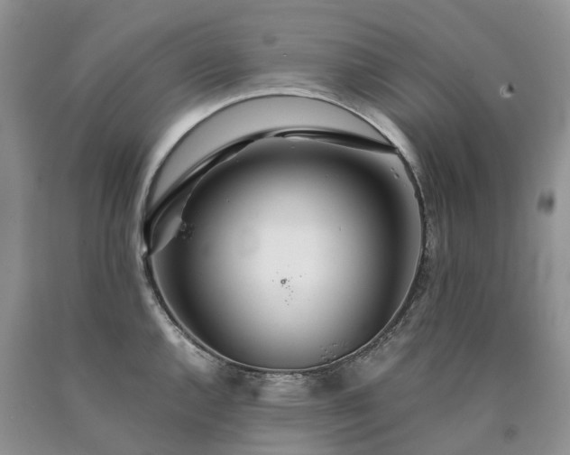 X0000090471144200707201349