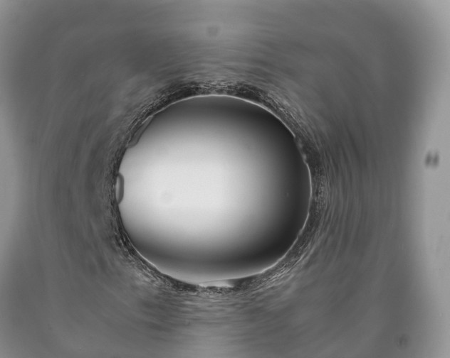 X0000090471153200707201349