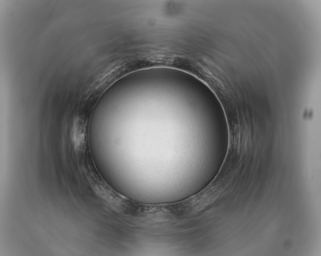 X0000090471154200707201349