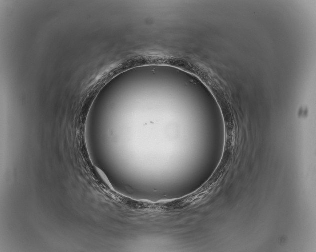 X0000090471157200707201349