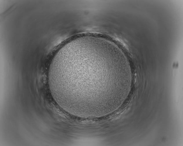 X0000090471159200707201349
