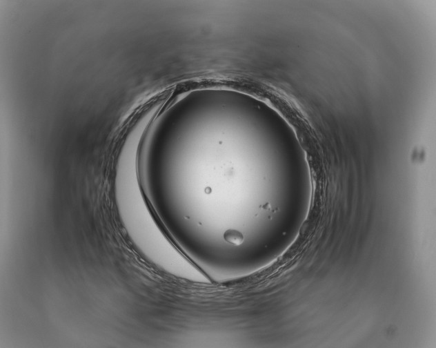 X0000090471160200707201349