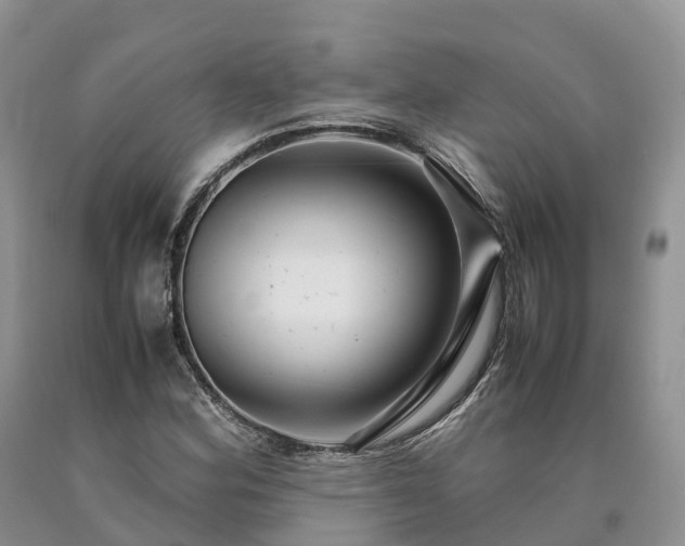 X0000090471164200707201349