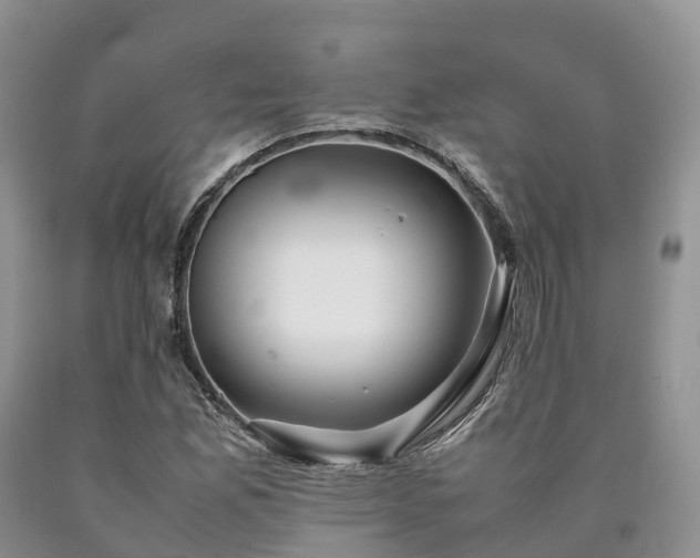 X0000090471165200707201349