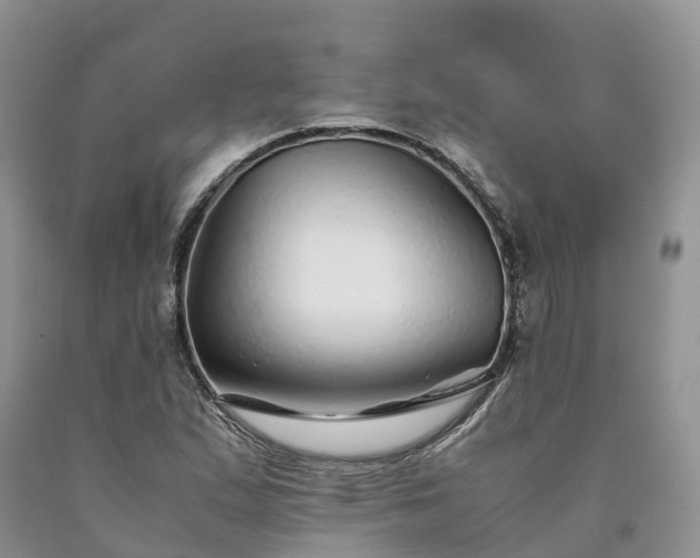X0000090471167200707201348
