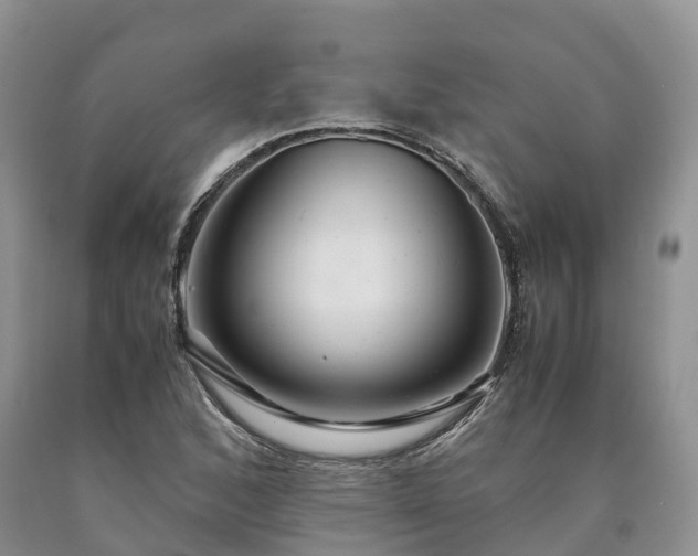 X0000090471168200707201348