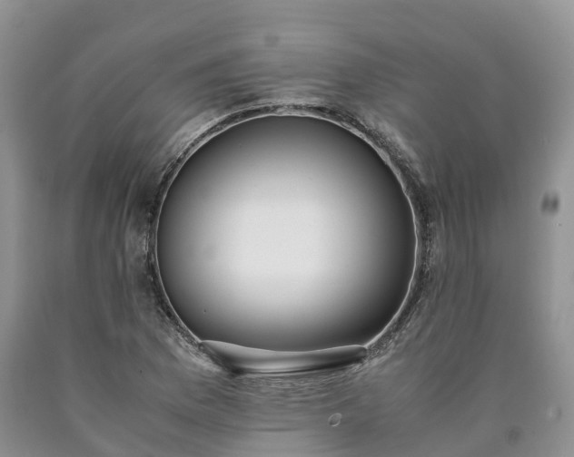 X0000090471169200707201348