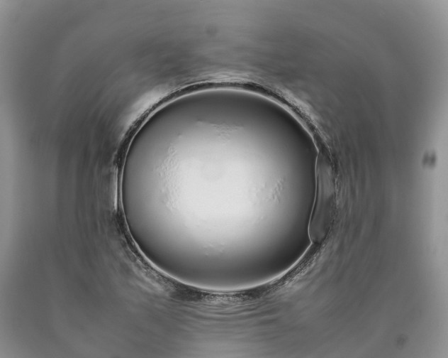 X0000090471171200707201348