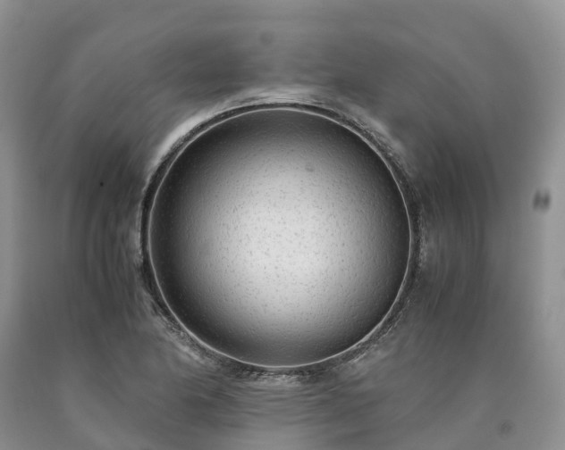 X0000090471174200707201348