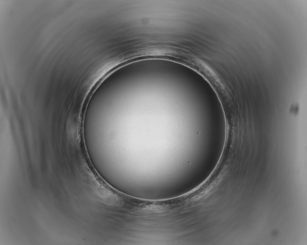 X0000090471178200707201348