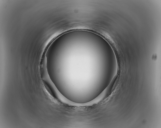 X0000090471181200707201348