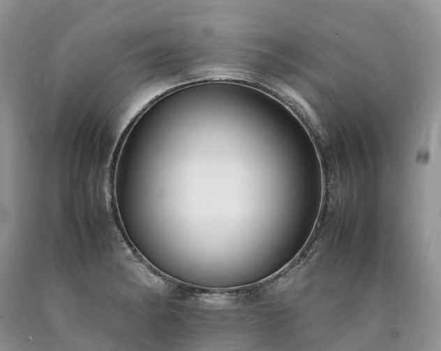 X0000090471182200707201348