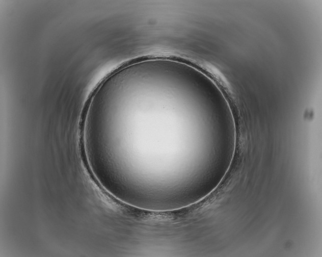 X0000090471183200707201348