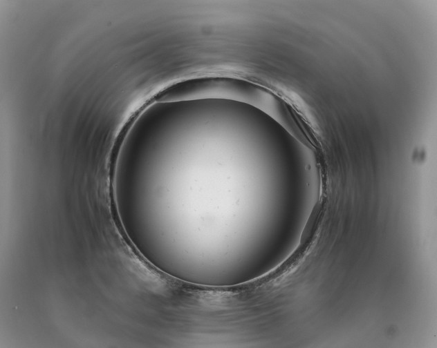 X0000090471184200707201348