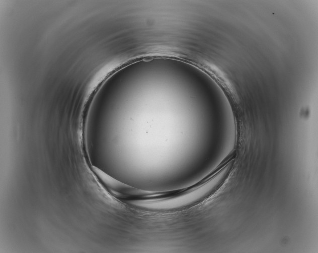 X0000090471188200707201348