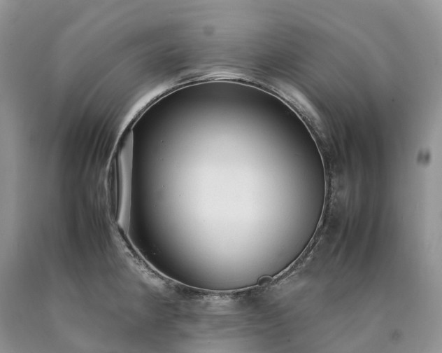 X0000090471190200707201348
