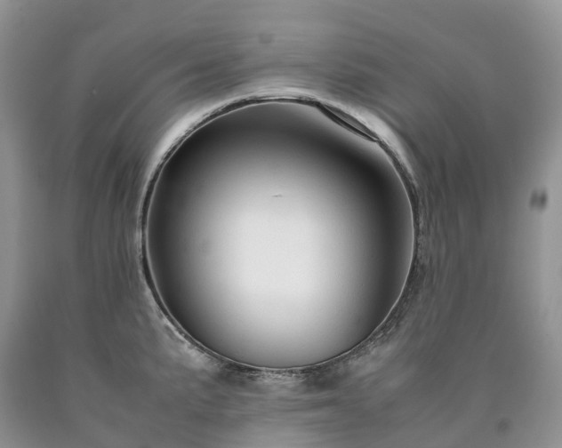 X0000090471191200707201348