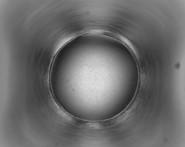 X0000090471194200707201348