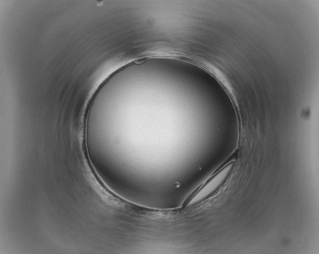 X0000090471195200707201348