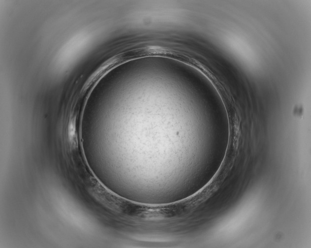 X0000090471198200707201348